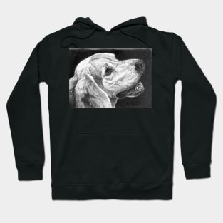 WINSTON Hoodie